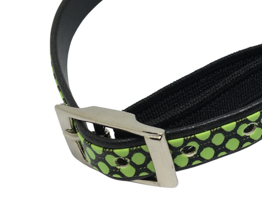 Scaly Cat Collar with Safety - Green