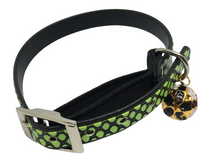 Scaly Cat Collar with Safety - Green