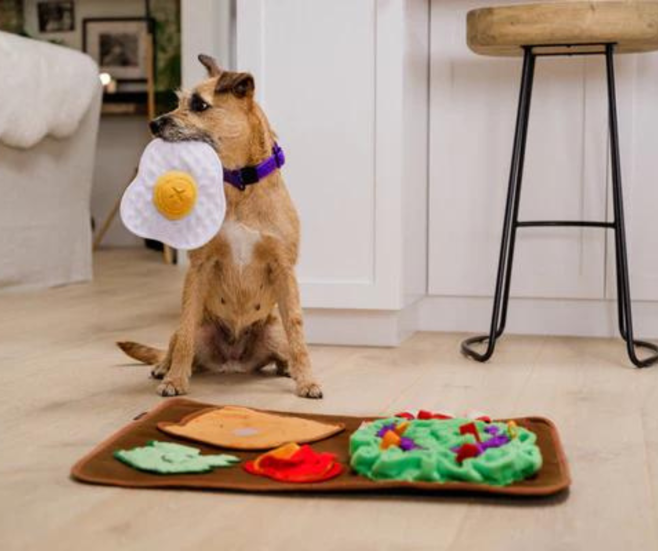 P.L.A.Y. Savory Sunrise Snuffle Mat
