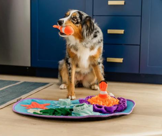 P.L.A.Y. Coral Cove Snuffle Mat