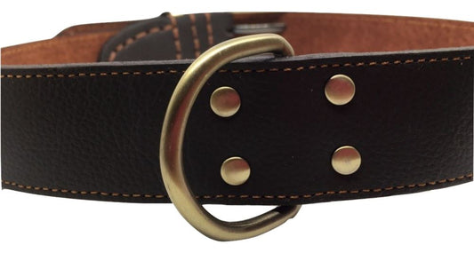 Double Hook Leather and Brass Large Dog Collar