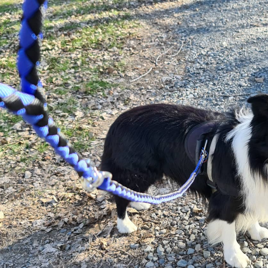 Ruff & Tuff Ski Handle Braided Dog Lead - Single