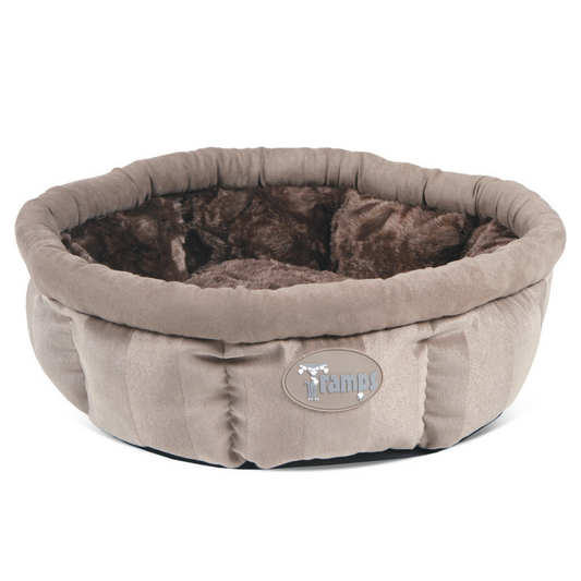 Tramps AristoCat Ring - Tan