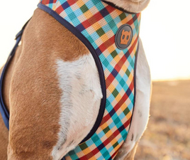 Air Mesh Dog Harness - Phantom - Medium