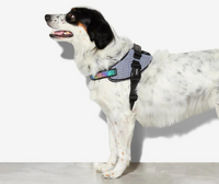 ZEE.DOG Fly Harness - Urban - Size 5