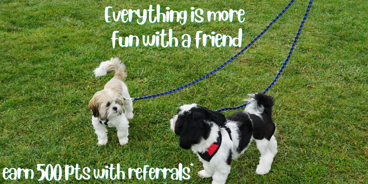 Beavers Pet Products Beavers Pet Products Affordable, High Quality