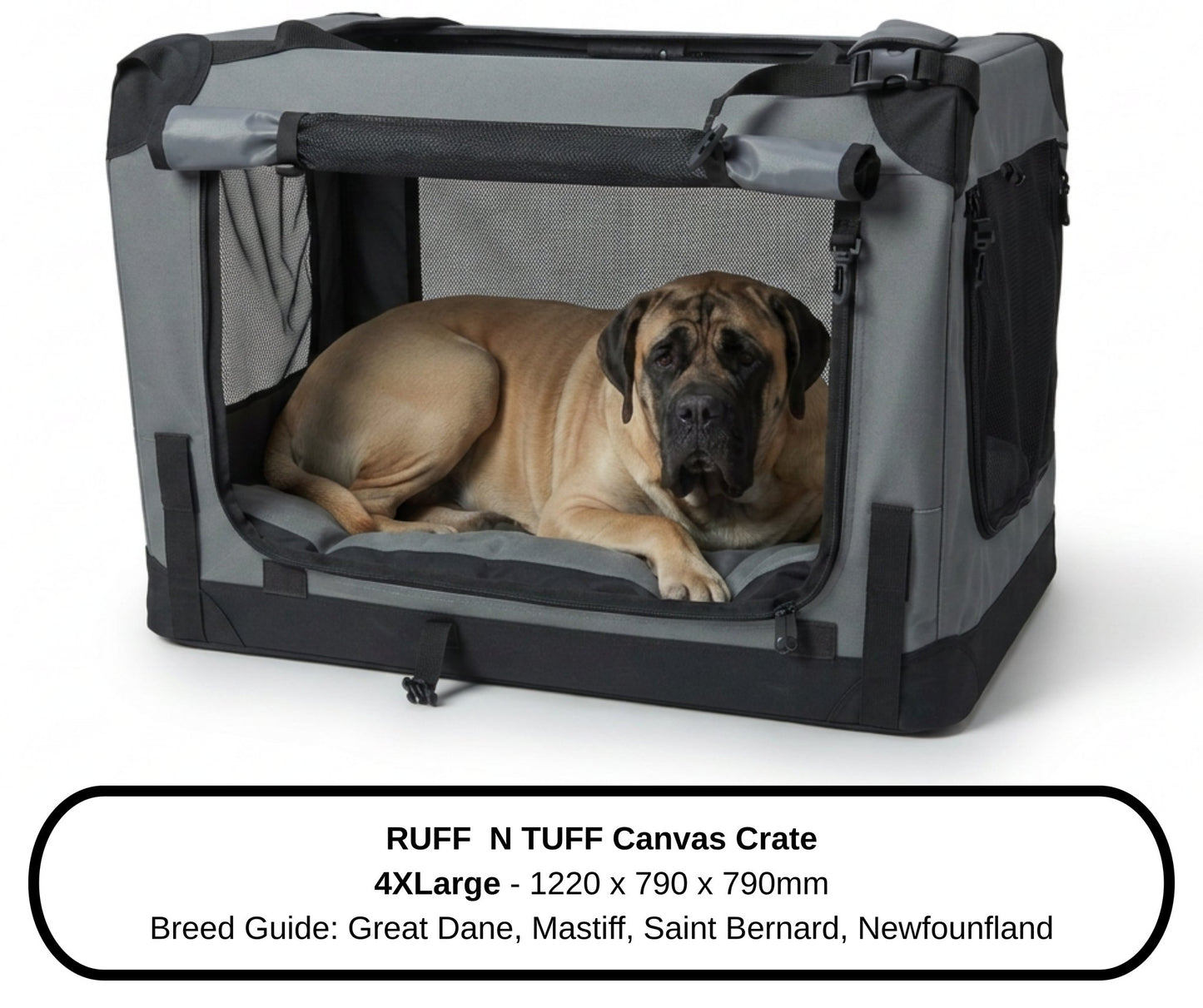 Mastiff giant breed dog beside the 4XLarge Ruff N Tuff dog crate, breed size guide