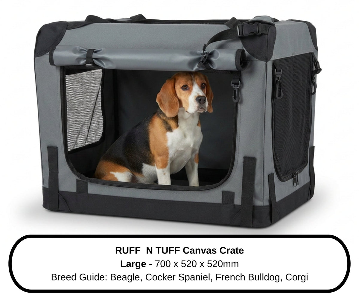 Beagle beside the Large Ruff N Tuff dog crate on a dark background, breed size guide
