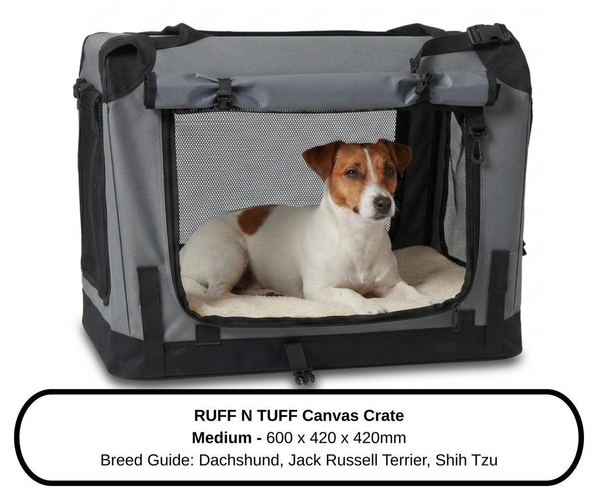 Jack Russell Terrier resting in the Medium Ruff N Tuff dog crate with a pet bed inside