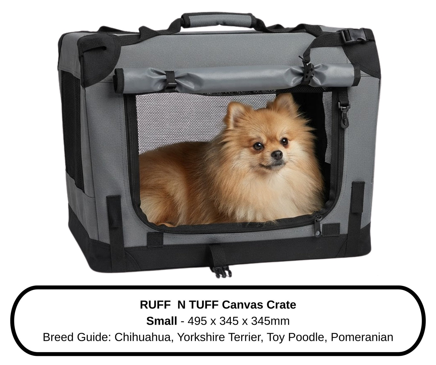 Pomeranian relaxing next to the Small Ruff N Tuff dog crate, lifestyle setting