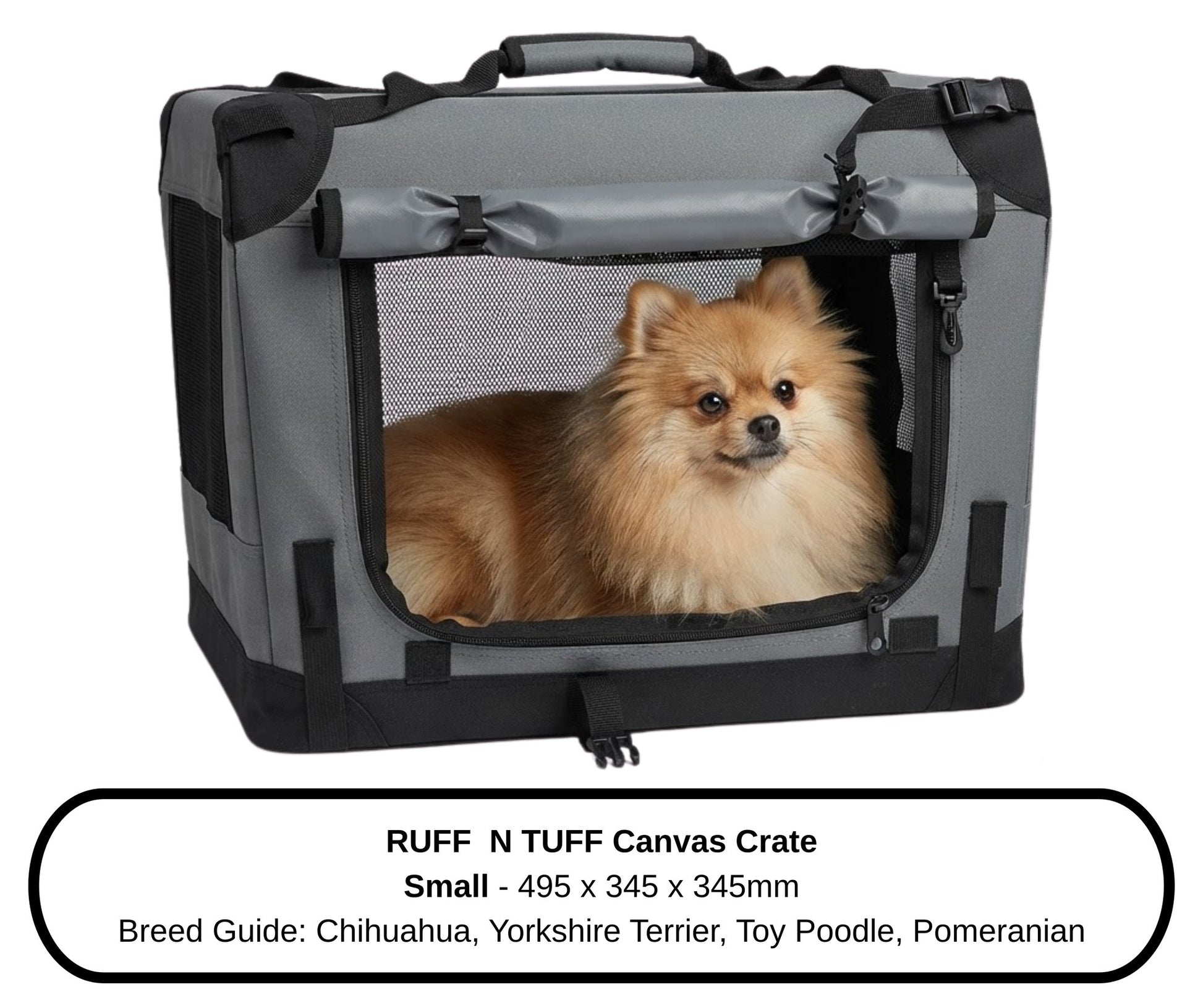 Pomeranian relaxing next to the Small Ruff N Tuff dog crate, lifestyle setting