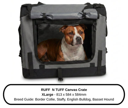 Close-up of a Staffordshire Bull Terrier inside the XLarge Ruff N Tuff dog crate