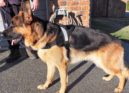 Premium Quality Ruff & Tuff Dog Harness - XLarge