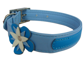 Blue flower dog collar