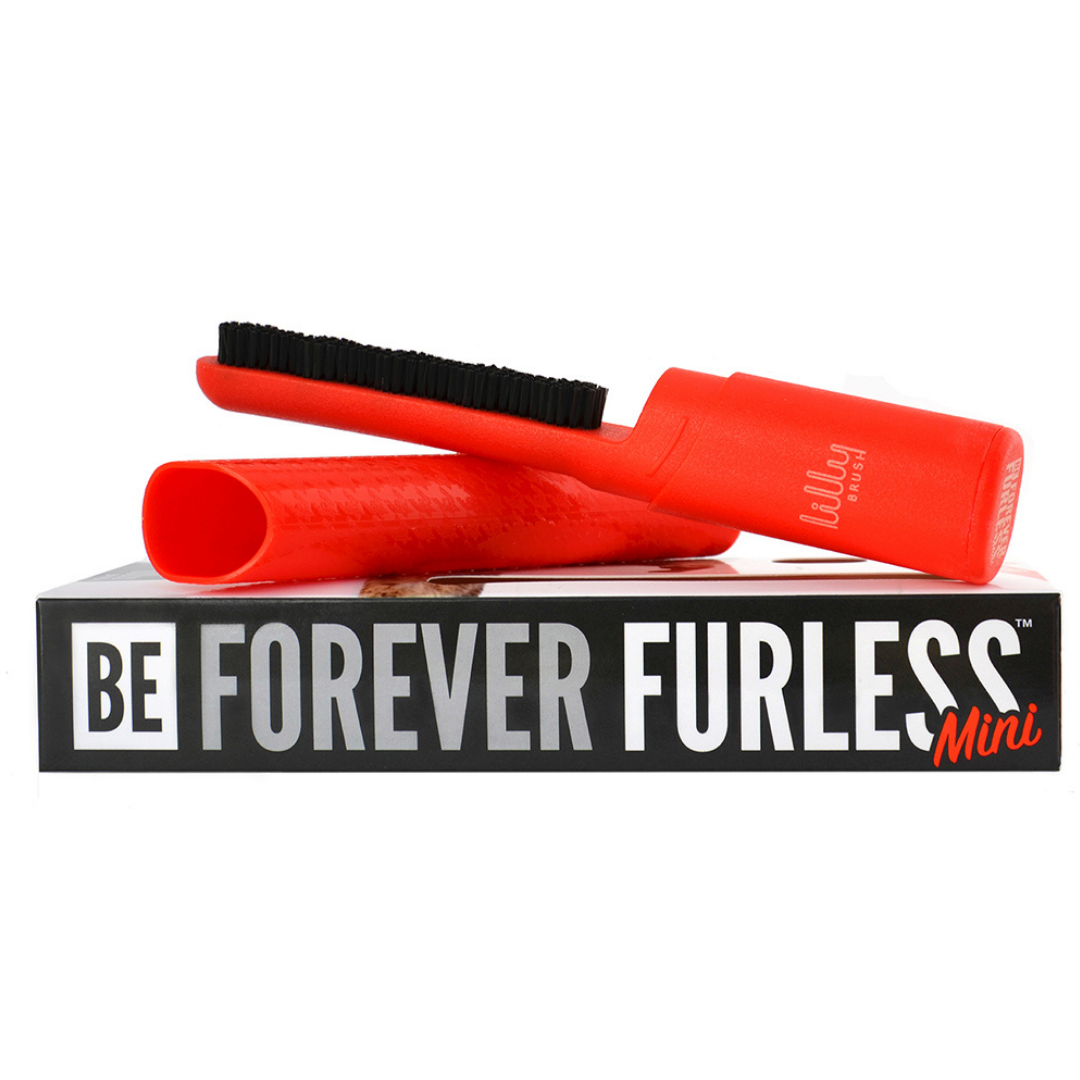 Be Forever Furless Mini Beavers Pet Products
