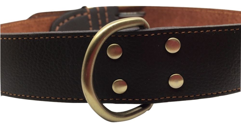 Double Hook Leather and Brass Large Dog Collar