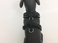 Ruff n Tuff Premium Soft Dog Harness – Large