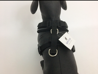 Ruff n Tuff Premium Soft Dog Harness – Large
