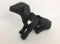 Ruff n Tuff Premium Soft Dog Harness – Large