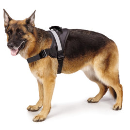 Premium Quality Ruff & Tuff Premium Dog Handle Harness - Small