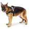 Premium Quality Ruff & Tuff Dog Harness - 2XLarge