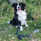 Ruff & Tuff  Ski Handle Braided Dog Lead - Single