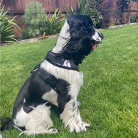 Ruff n Tuff Premium Soft Dog Harness – Large