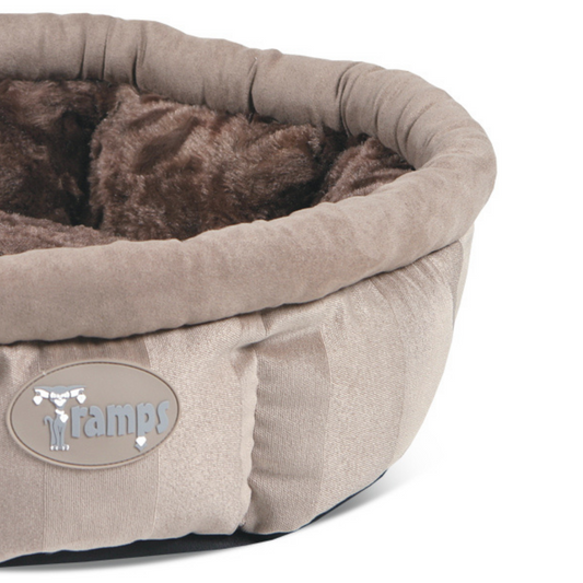 Tramps AristoCat Ring - Tan