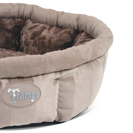 Tramps AristoCat Ring - Tan