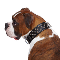 Wide Spike Leather Large Dog Collar - Brown